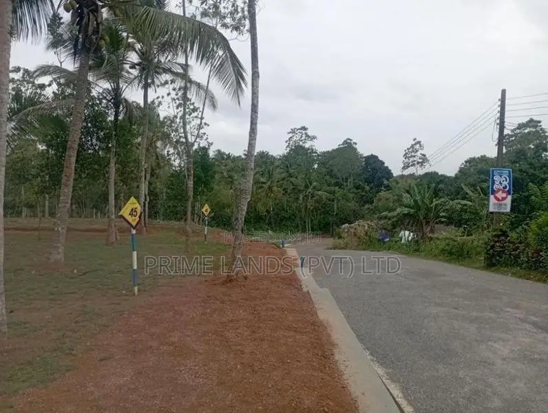 Near to Piliyandala Koralaima Bus Route
