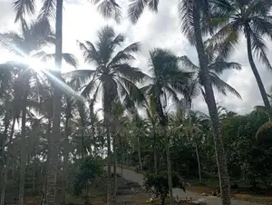 Near to Piliyandala Koralaima Bus Route