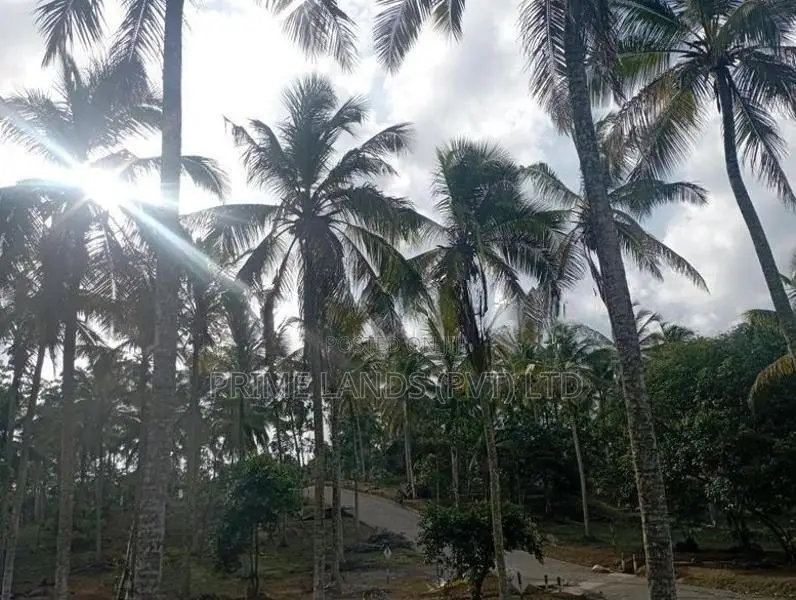 Near to Piliyandala Koralaima Bus Route