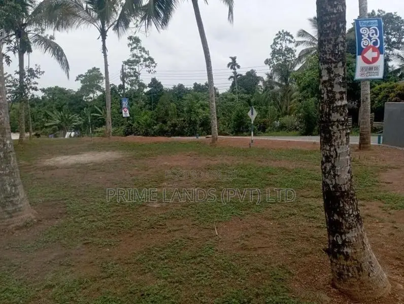 Near to Piliyandala Koralaima Bus Route