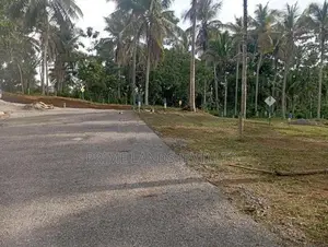 Near to Piliyandala Koralaima Bus Route