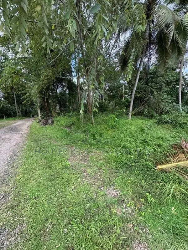 Prime 17.85 Perch Land for Sale – Udugampola