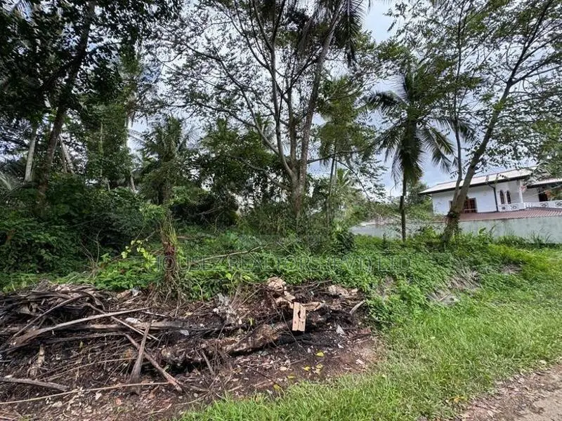 Prime 17.85 Perch Land for Sale – Udugampola
