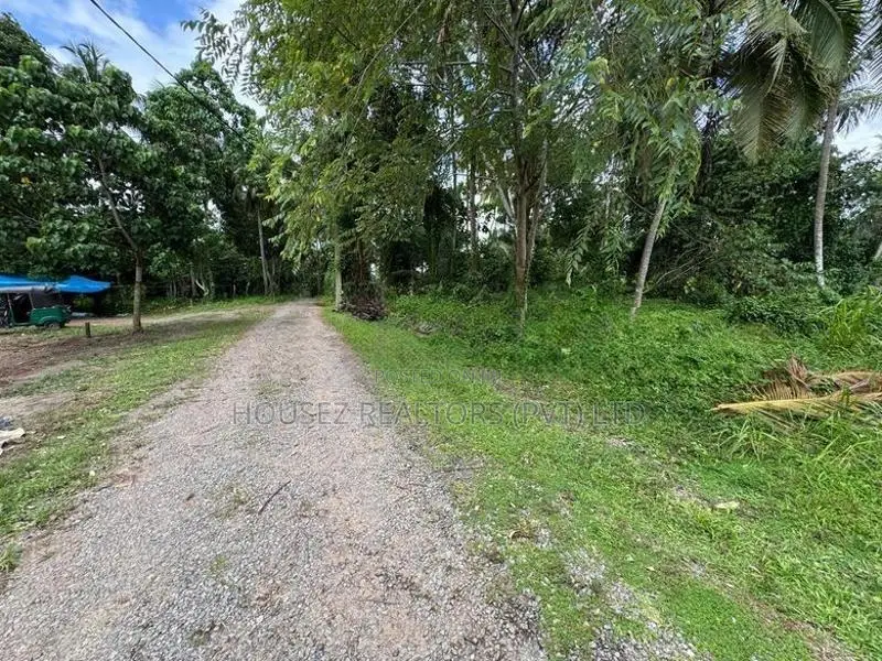Prime 17.85 Perch Land for Sale – Udugampola