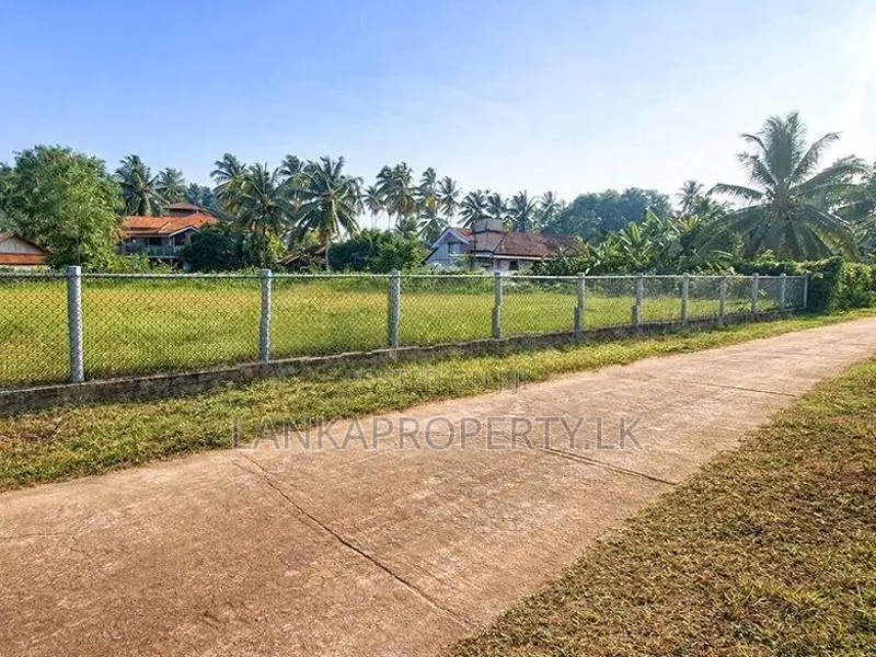Valuable Developed Land for Sale in Nainamadama, Wennappuwa.