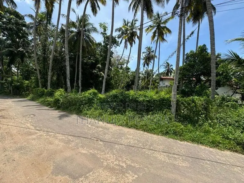 Land for Sale in Thalpitiya