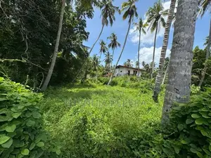 Land for Sale in Thalpitiya