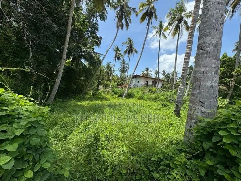 Land for Sale in Thalpitiya
