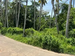 Land for Sale in Thalpitiya