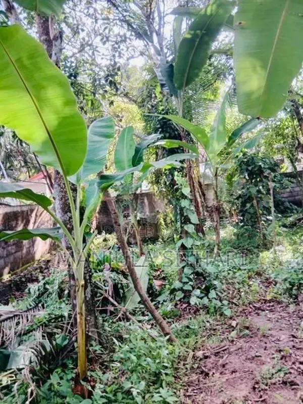 Land for Sale in Gampaha
