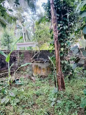 Land for Sale in Gampaha