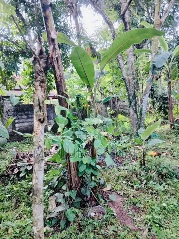 Land for Sale in Gampaha