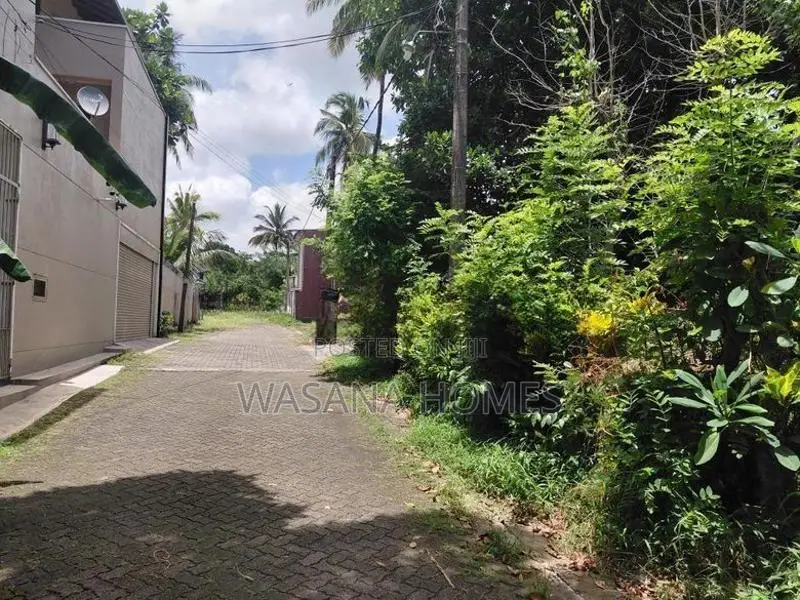 Super Land for Sale Borelesgamuwa
