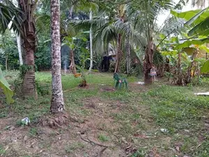 Land for Sale in Kadawatha