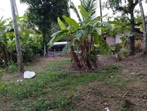 Land for Sale in Kadawatha
