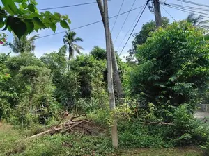 Super Land for Sale Borelesgamuwa