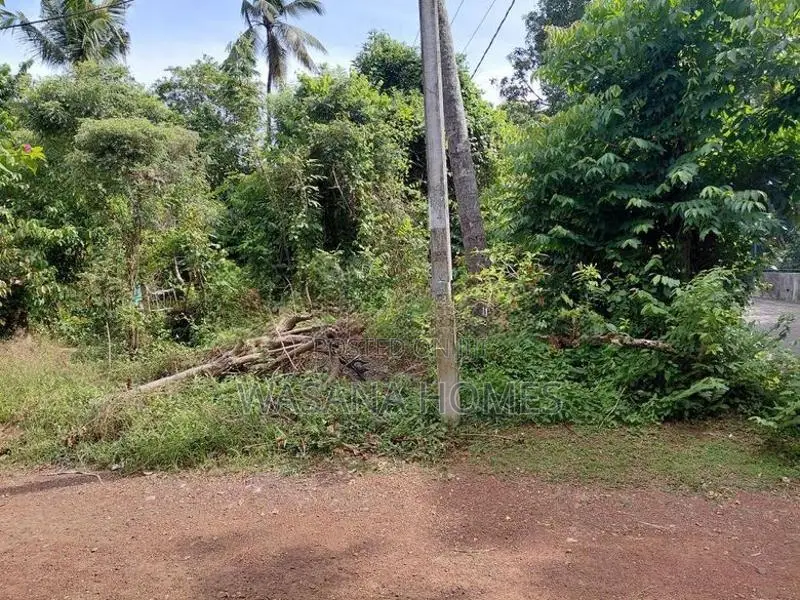 Super Land for Sale Borelesgamuwa