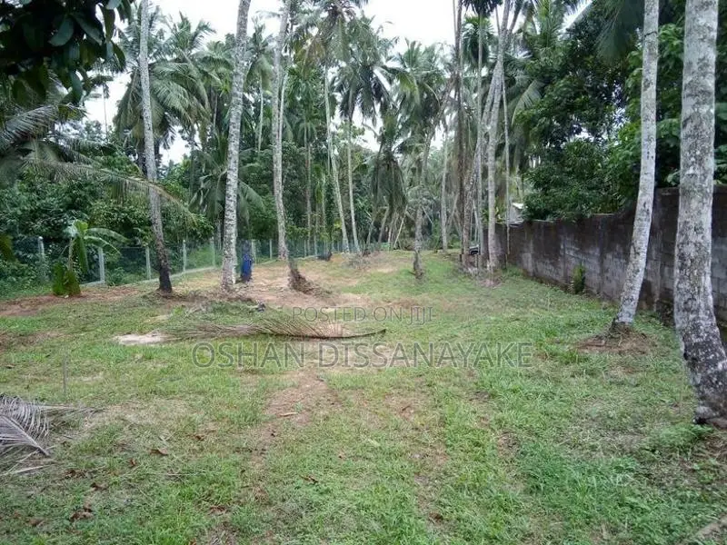 Land For Rent In Godagama Homagama