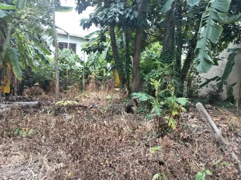 Excellent Land for Sale Boralasgamuwa