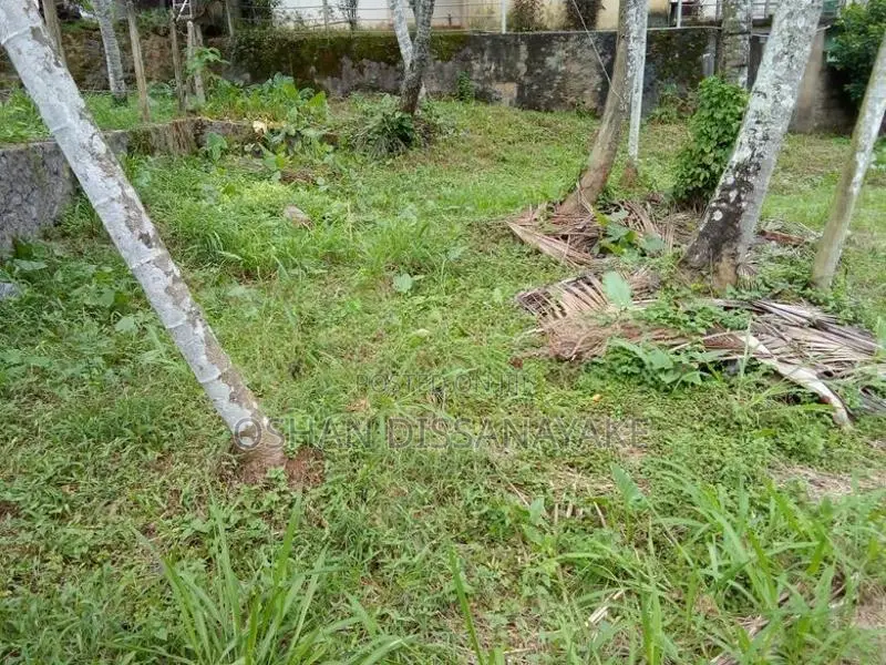 Land For Rent In Godagama Homagama