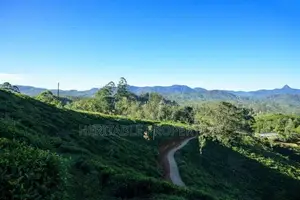 Land for Sale in Hatton