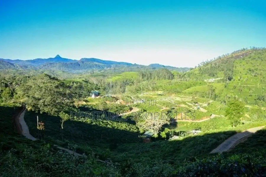 Land for Sale in Hatton