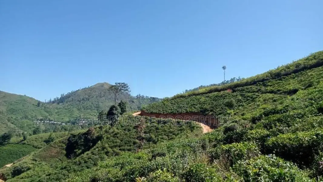 Land for Sale in Hatton