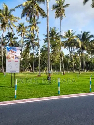 Commercial Land for Sale in Mellawagedara ,Pannala Mb01