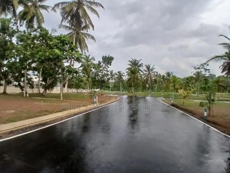 Valuable 6.50p Land for Sale in Polgasowita