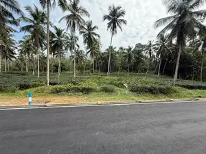 Valuable 40p Lands for Sale in Homagama Meegoda