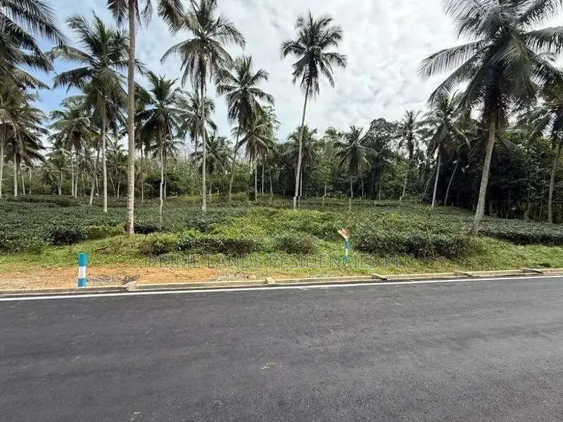 Valuable 40p Lands for Sale in Homagama Meegoda