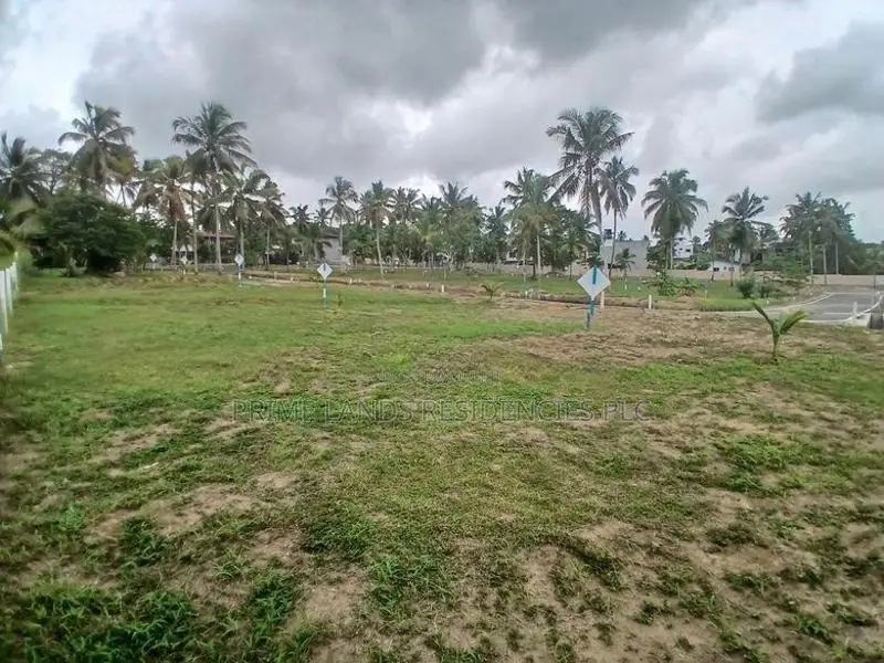 Valuable 6.50p Land for Sale in Polgasowita