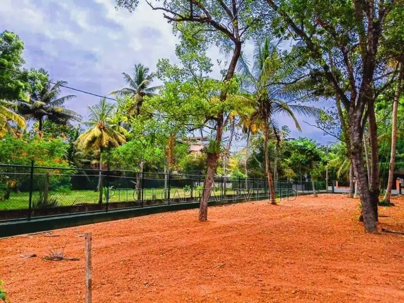 Valuable Coastal Land for Sale in Midigama