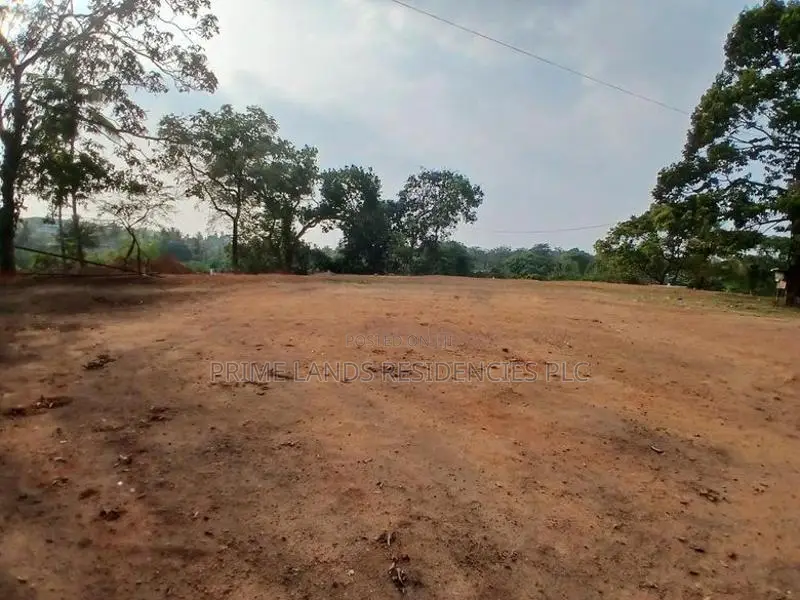 Valuable Land for Sale in Ambathale