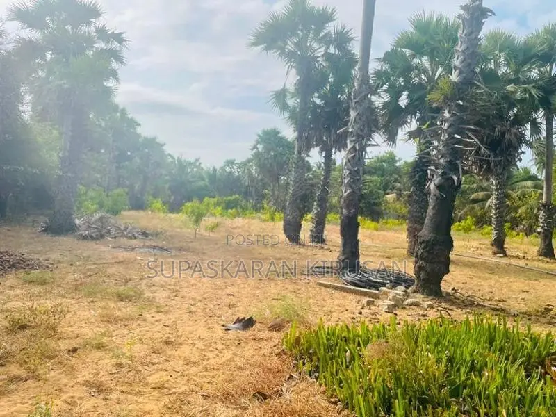 உறுதி காணி விற்பனைக்கு Kodikamam