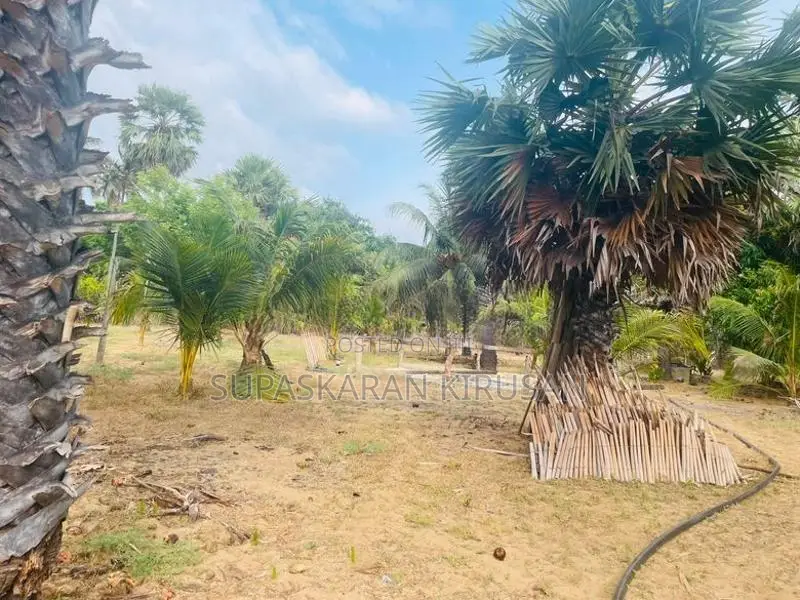 உறுதி காணி விற்பனைக்கு Kodikamam