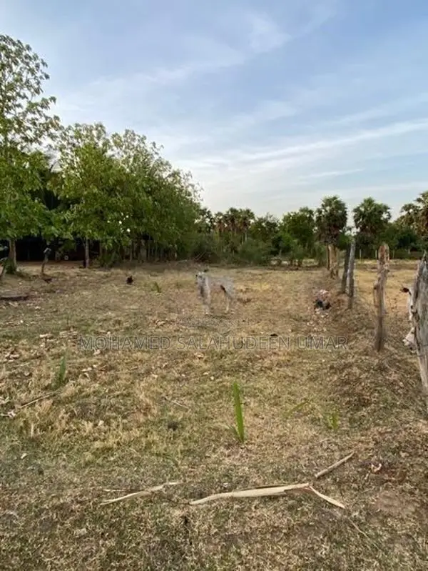 Land for Sale in Kantale