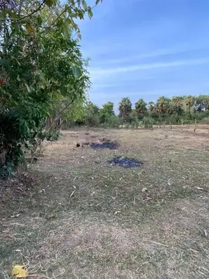 Land for Sale in Kantale