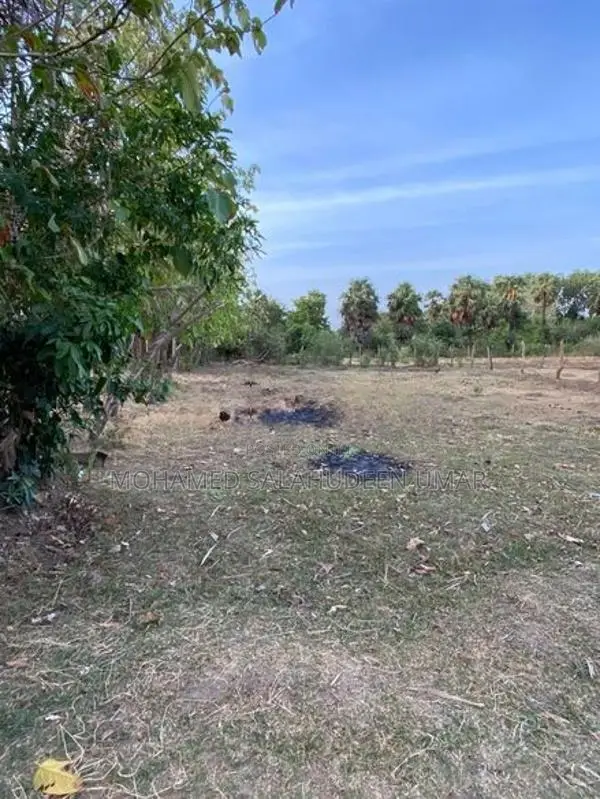 Land for Sale in Kantale