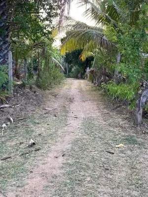 Land for Sale in Kantale