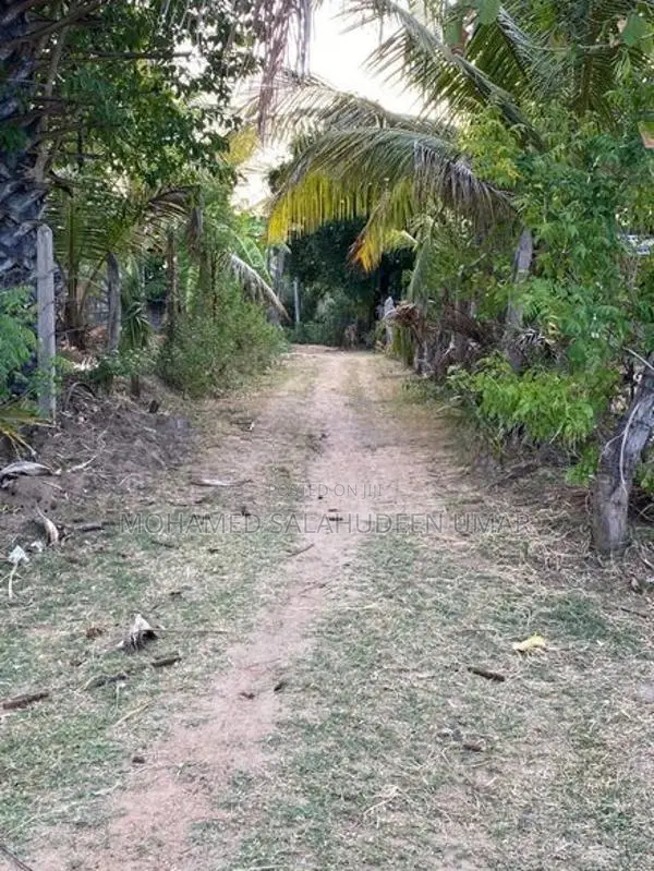 Land for Sale in Kantale