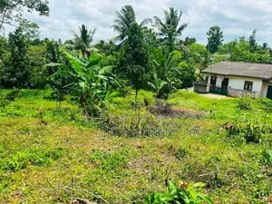 ( YS-1175) Valuable Residential Bare Land Sale in Homagama Thalagala