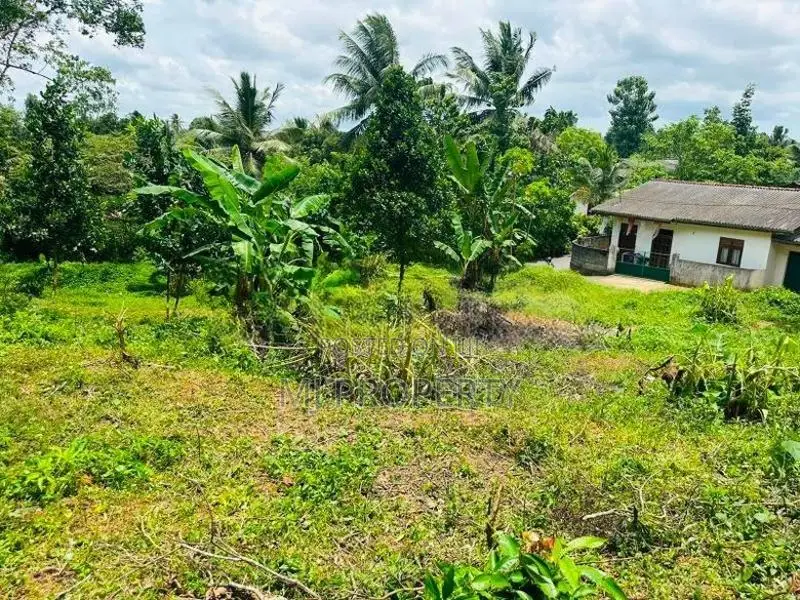 ( YS-1175) Valuable Residential Bare Land Sale in Homagama Thalagala