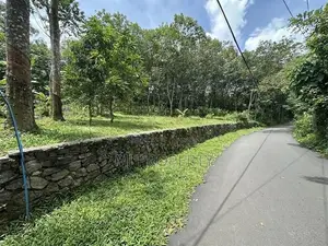 ( YS-1175) Valuable Residential Bare Land Sale in Homagama Thalagala