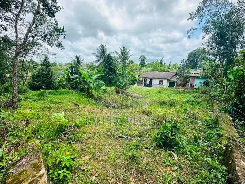 ( YS-1175) Valuable Residential Bare Land Sale in Homagama Thalagala