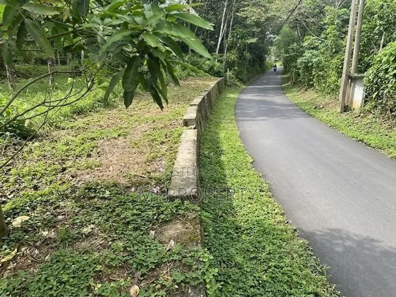 ( YS-1175) Valuable Residential Bare Land Sale in Homagama Thalagala