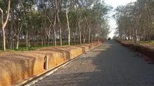 අහංගම සංචාරක කලාපයට ආසන්නව