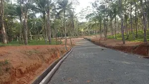 අහංගම සංචාරක කලාපයට ආසන්නව