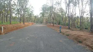 අහංගම සංචාරක කලාපයට ආසන්නව