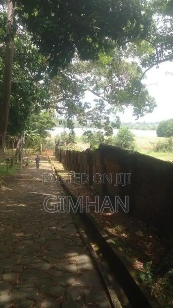 2 Storied House With Super Land For Sale Piliyandala